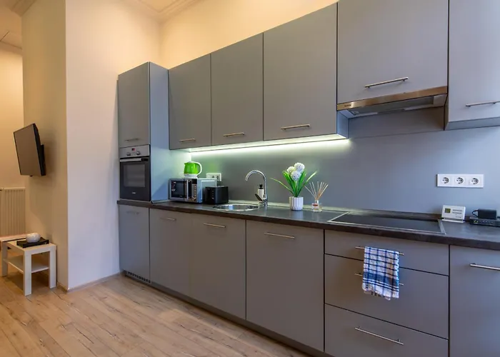 Center Paulay Ede Street 1br Apartman *